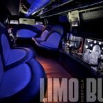 Luxurious leather interior and LED-lit bar of our 22-passenger SUV limo in Norfolk.
