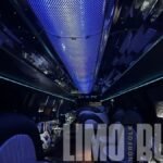 Fiber-optic ceiling lighting inside the 22-passenger SUV limousine from Norfolk Limo Bus.