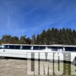 22-passenger white SUV limousine parked against a natural backdrop in Norfolk.