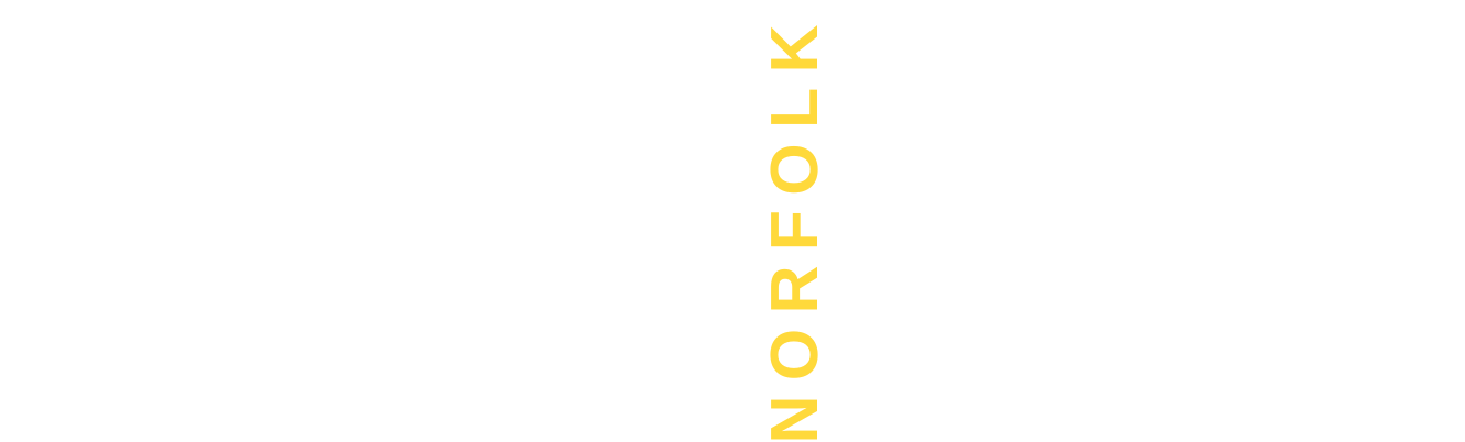 Limo Bus Norfolk official logo for luxury party bus rentals and limousine services.
